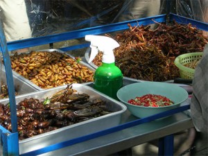 Etale marché insectes à manger