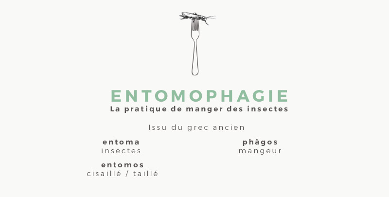 entomophagie origine
