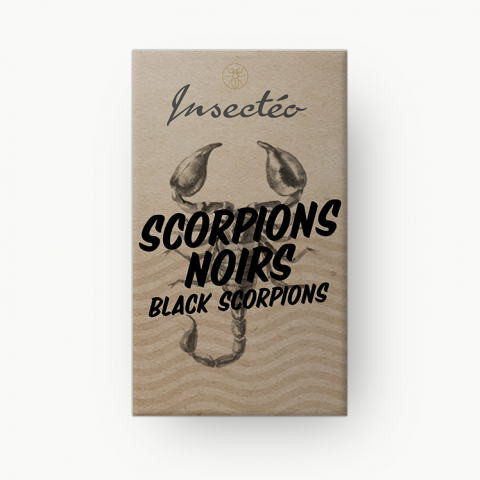 INSECTÉO - Black scorpions