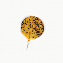 Orange & Ants lollipops