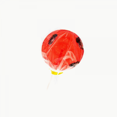 Strawberry & Cricket lollipop