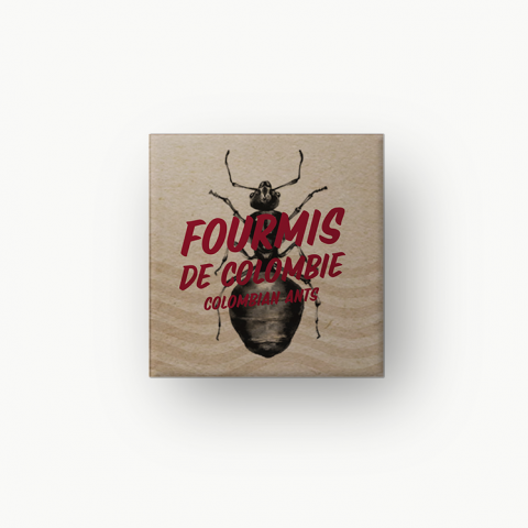 Fourmis de Colombie : le caviar des insectes