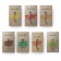 Super pack apéro insectes comestibles