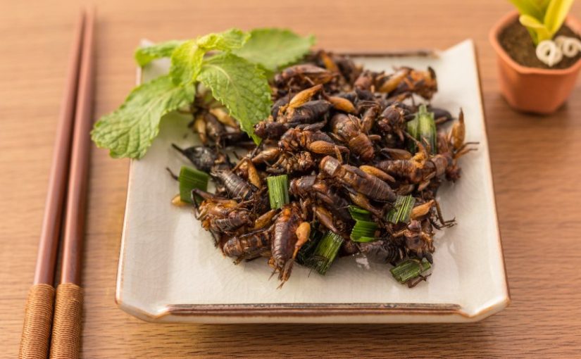 3 idées de recettes du Monde aux insectes à cuisiner !