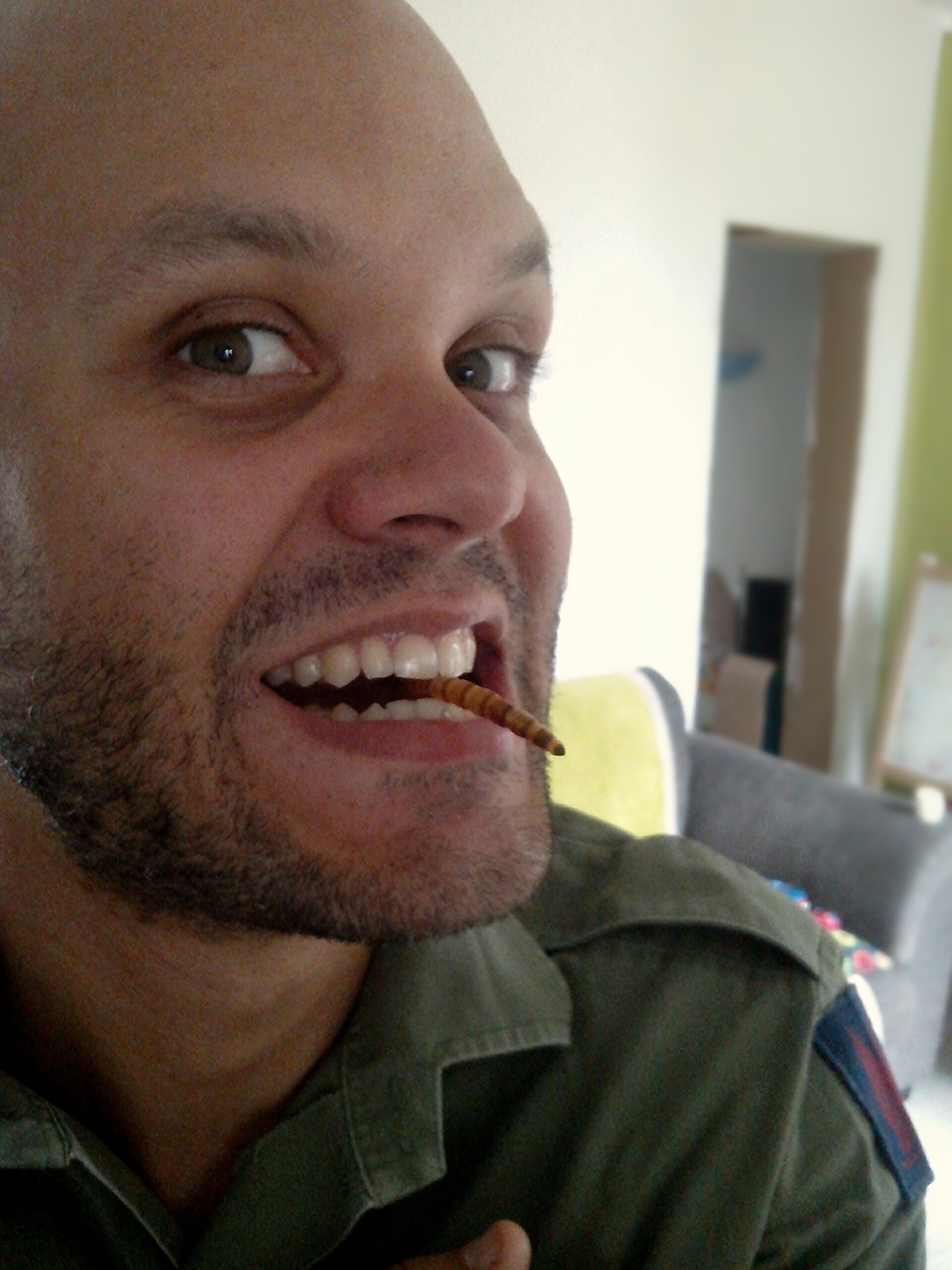 entomophage mangeant un insecte