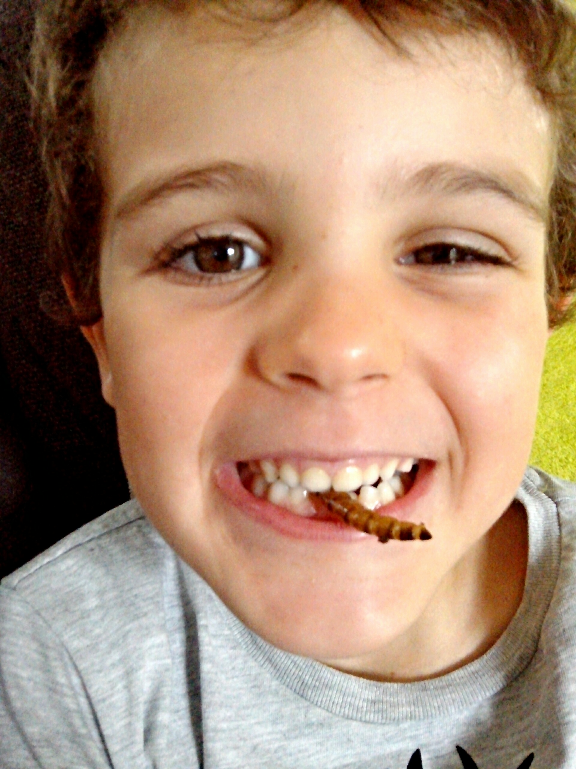 entomophage
