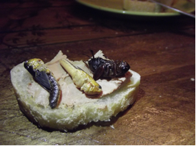 toast d'insectes comestibles
