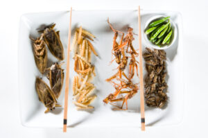 producteur insectes
