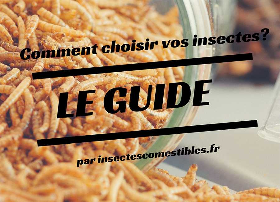 choisir-insectes-comestibles-guide