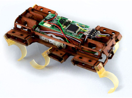 robot-cafard-insecte