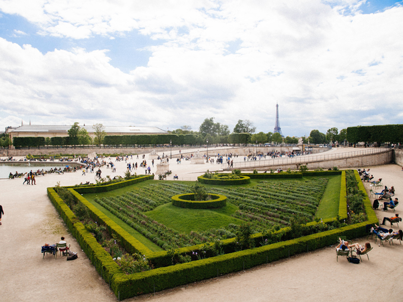 manger-des-insectes-paris