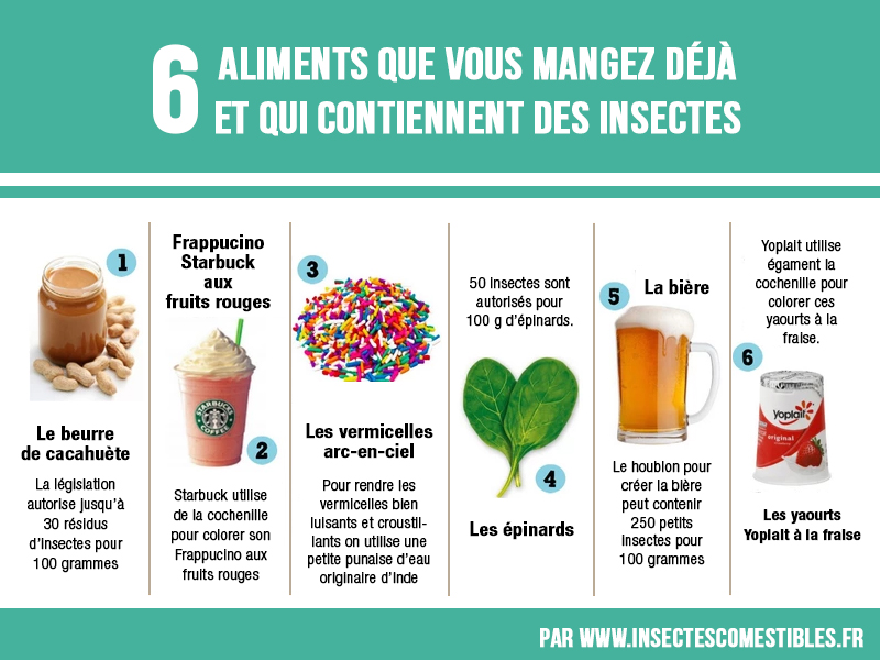 6-aliments-contiennent-des-insectes