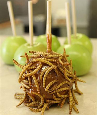 Pomme d'amour aux vers de farine