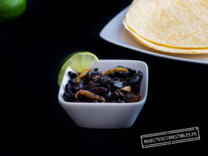 grillons-chapulines-mexicaine-BD