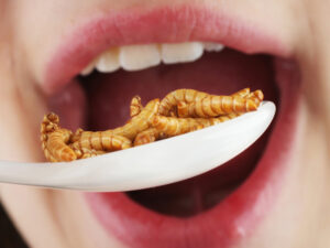 manger-insectes-comparatif-viande
