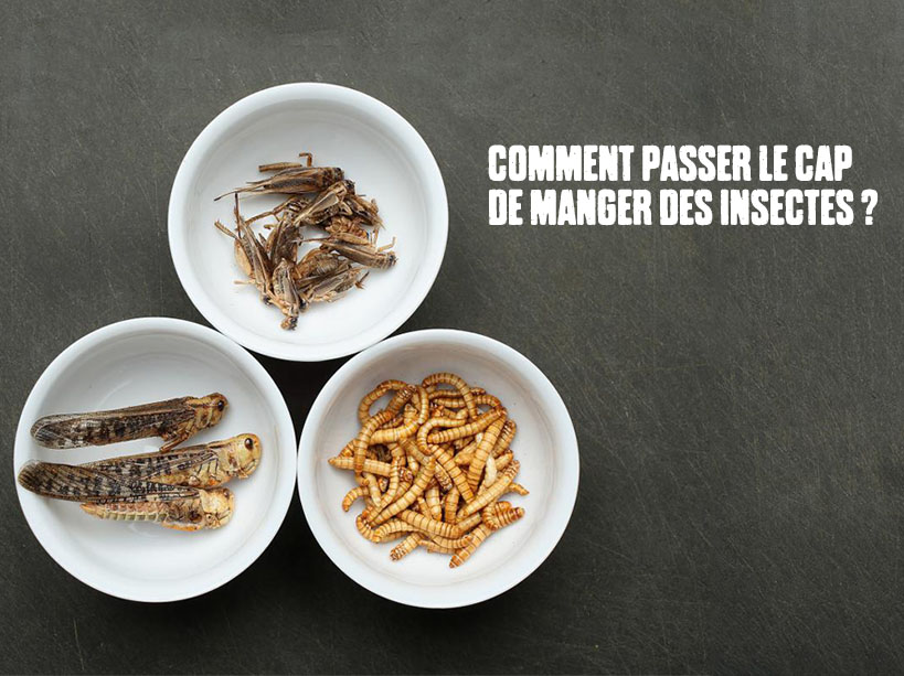 PASSER-CAP-MANGER-INSECTES