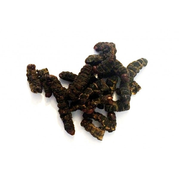 Chenilles africaines déshydratées
