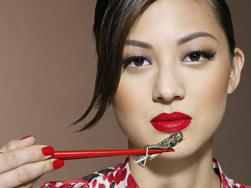 insectes-comestibles-tendance