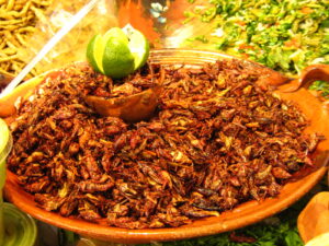 chapulines1