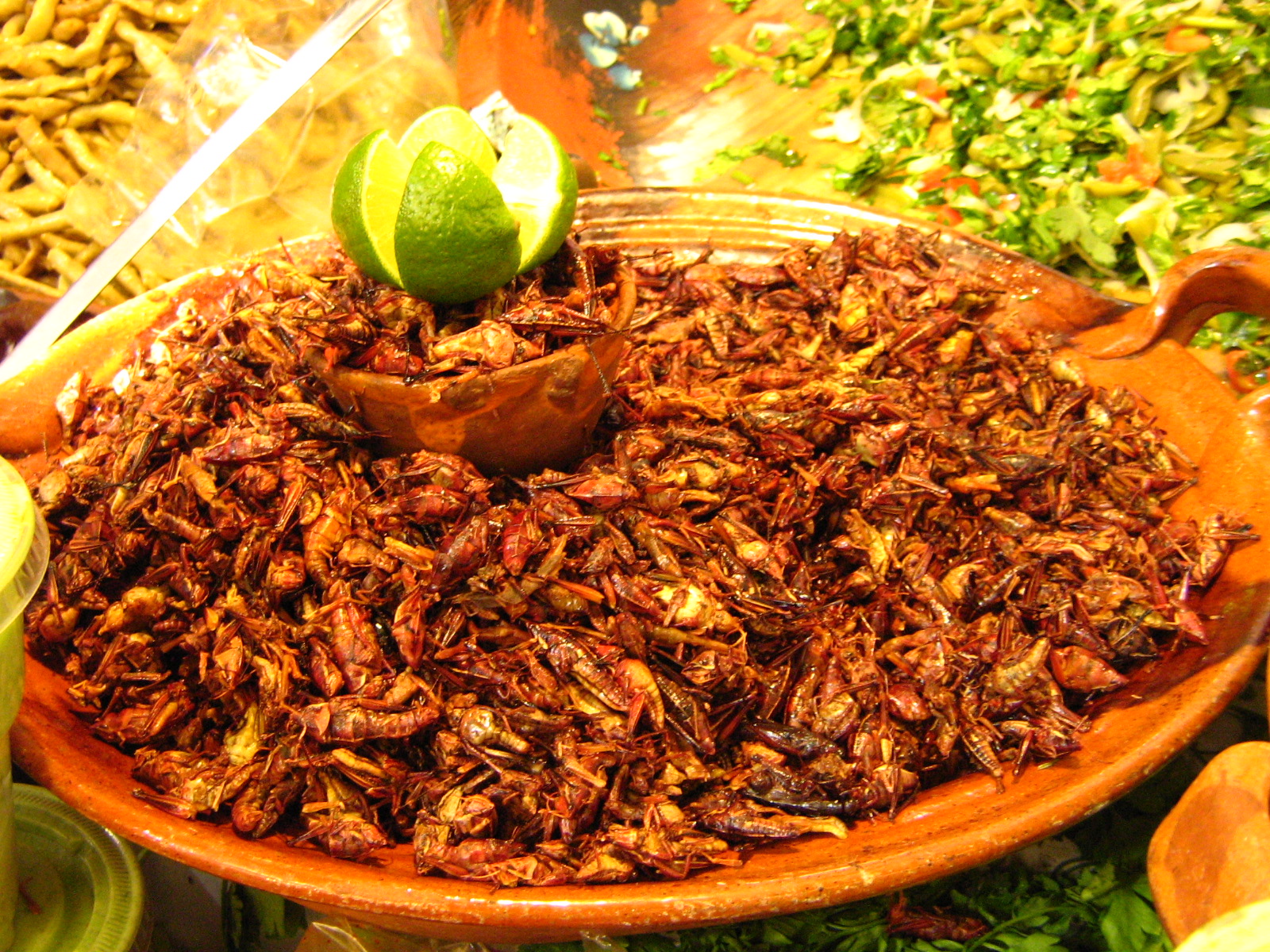 chapulines1