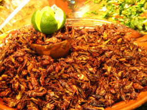 recette-insecte-mexique