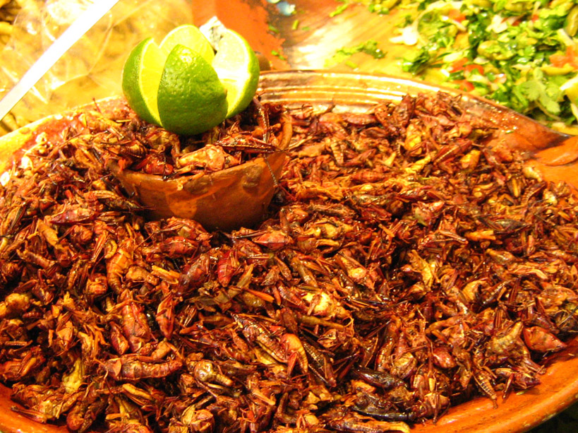 recette-insecte-mexique