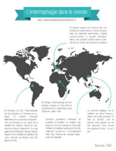 infographie-entomophagie-monde