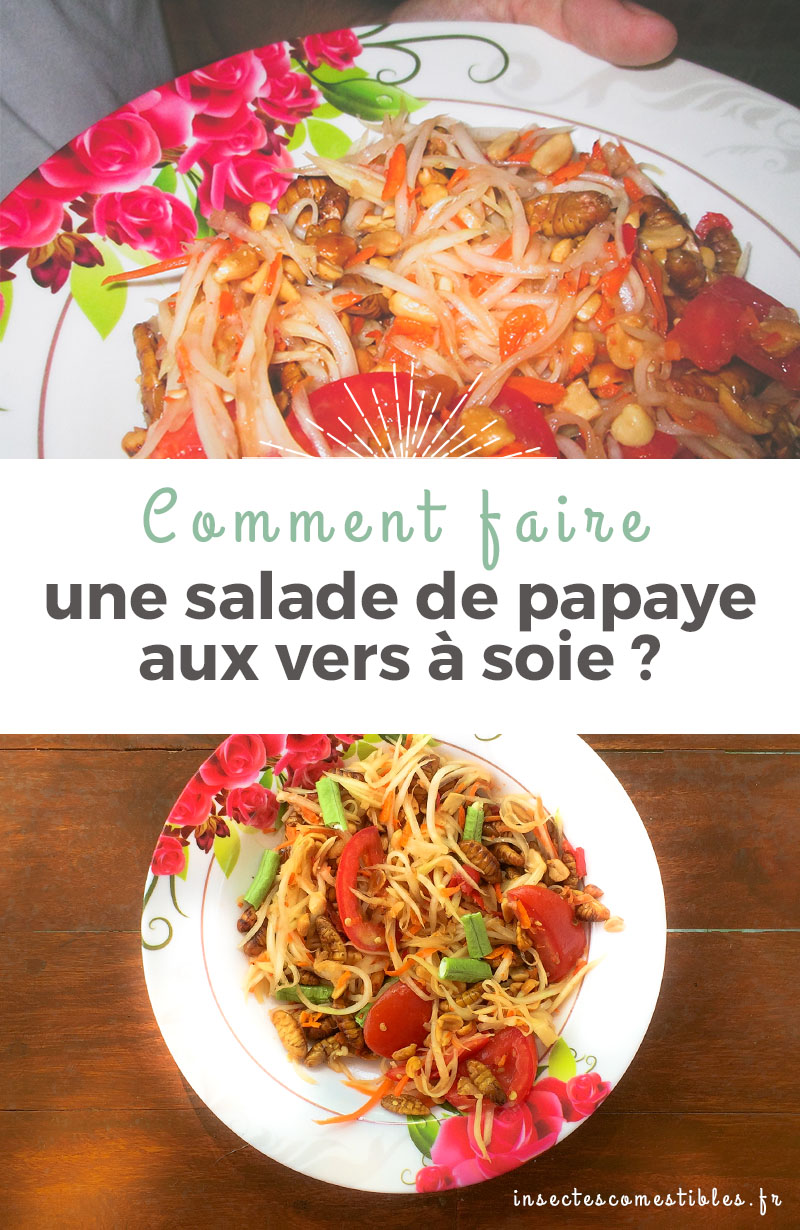 Comment faire une salade de papaye aux vers à soie ? Les <a href=