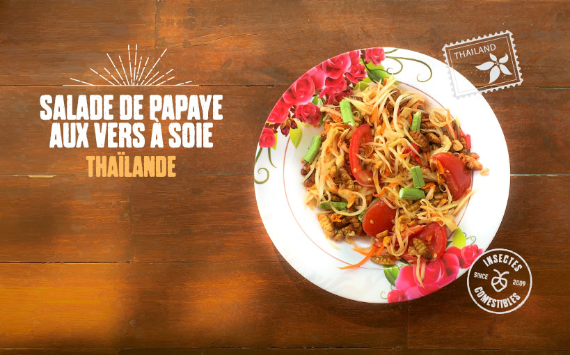 recette-insecte-salade-papaye-ver-soie