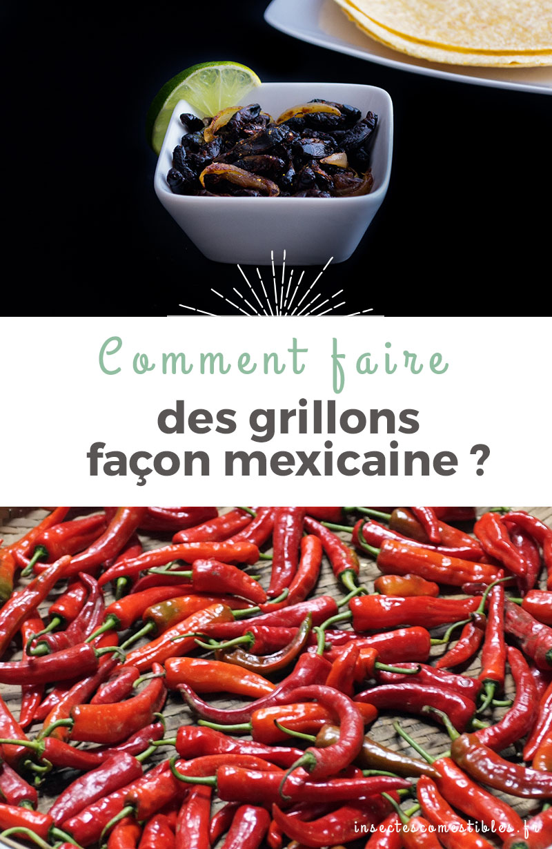 Comment cuisiner des grillons à la mexicaine ? <a href=