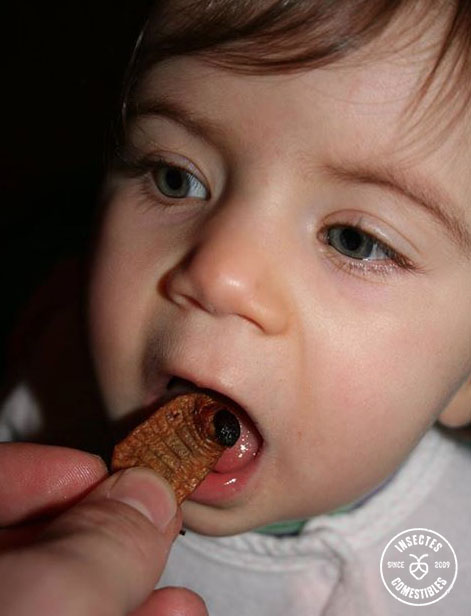 Enfant qui teste un ver de palmier sous la surveillance de ses parents
