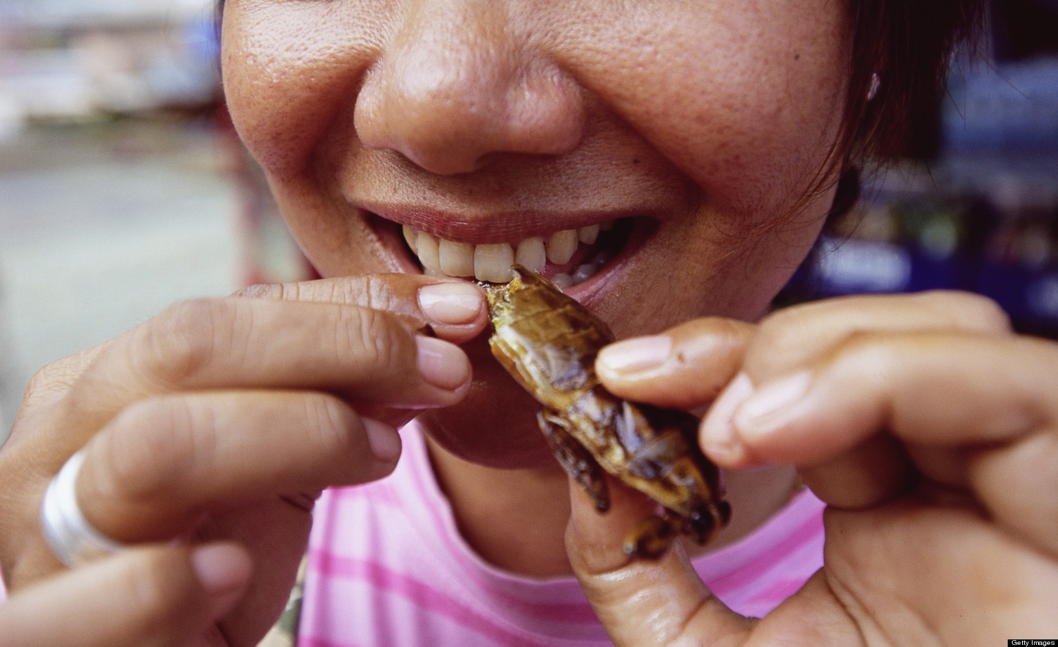 Blog 6754 o EAT CICADA facebook
