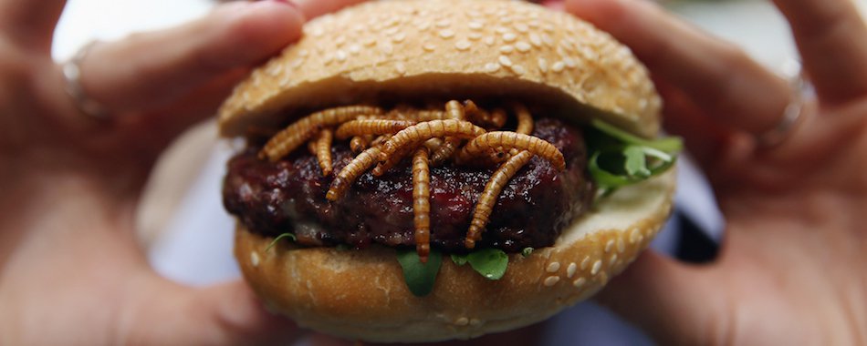 Blog 6830 steaks dinsectes