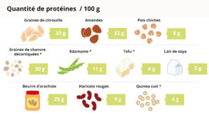 proteine-animal-ou-insectes