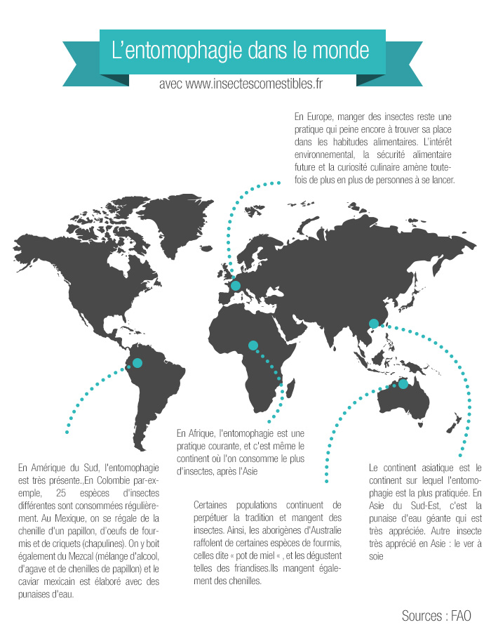 consomation-insectes-dans-le-monde