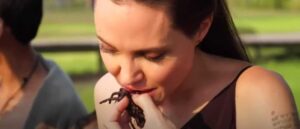 angelina-jolie-manger-des-araignees-et-des-insectes