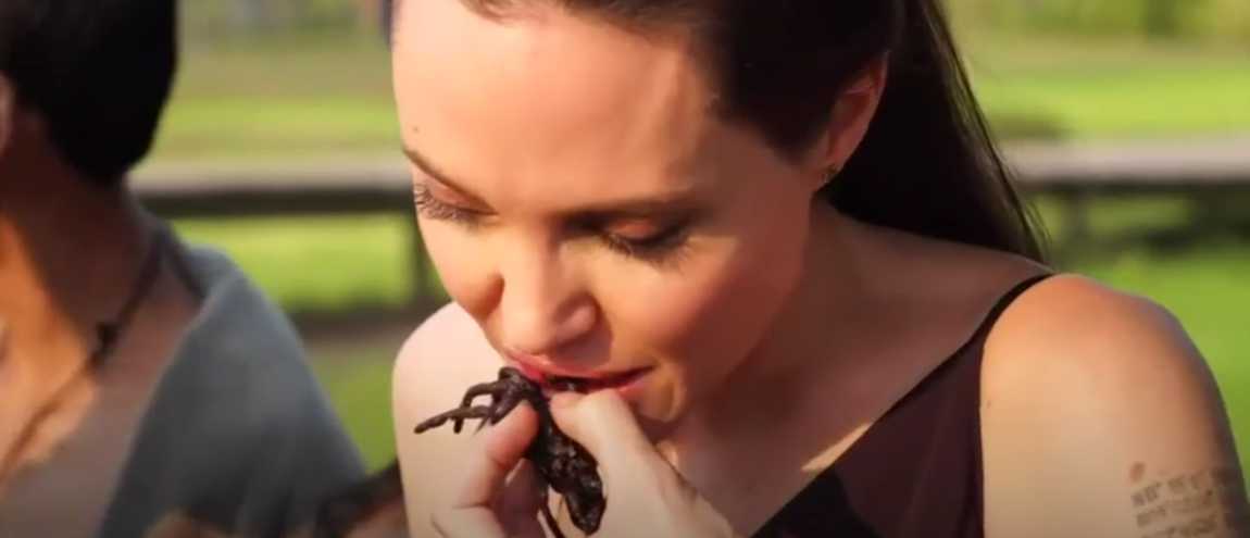 angelina-jolie-manger-des-araignees-et-des-insectes