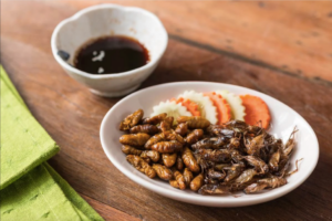 insectes_comestibles
