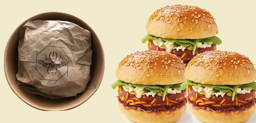 burger_insectes