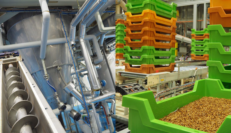 ynsect-usine-agroalimentaire-investissement-levee-de-fonds-800×460