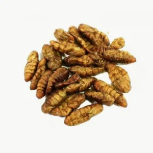Ver à soie comestible achat en gros