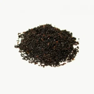 Fourmis noires achat en gros