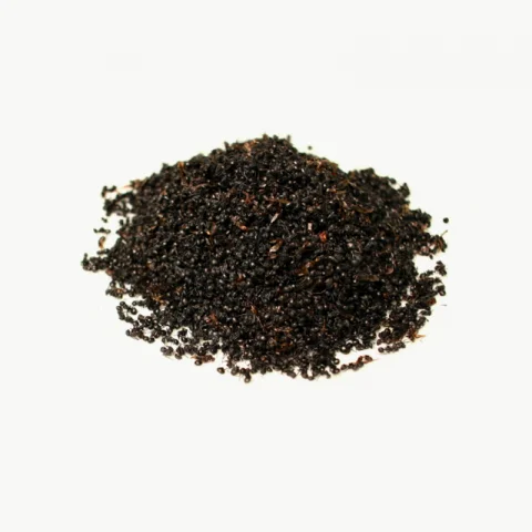 Fourmis noires achat en gros