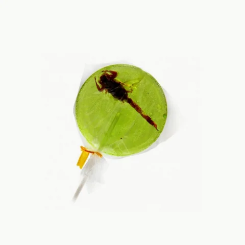 Sucette scorpion à la pomme