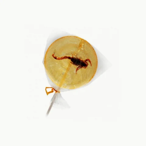 Sucette scorpion banane