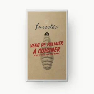 Vers de palmiers