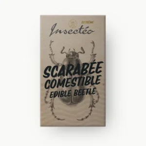 Scarabées comestible
