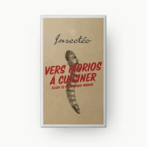 Vers géants morio à cuisiner