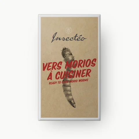 Vers géants morio à cuisiner