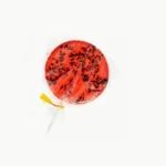 Sucettes fourmis fraise